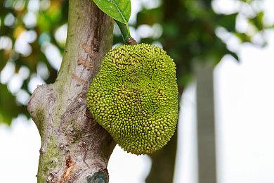 《寂静岭：短讯》销量突破四百万 官方发文庆祝！